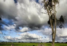 平博体育：逾30名俄罗斯泳手申请 以中立选手身份参加短池世锦赛.