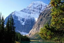 全是7球8球屠杀大洋洲新西兰称王称霸，1个直通名额量身定做.