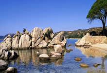 平博体育：关注 ｜ 安赛龙接受背伤手术暂别赛场 奥运三连冠是其终极目标.